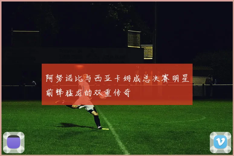 阿努诺比与西亚卡姆成总决赛明星前锋猛龙的双重传奇