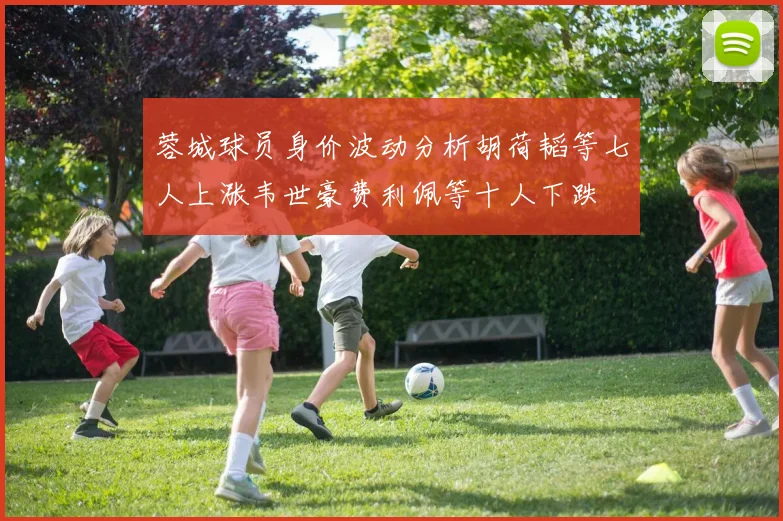 蓉城球员身价波动分析胡荷韬等七人上涨韦世豪费利佩等十人下跌