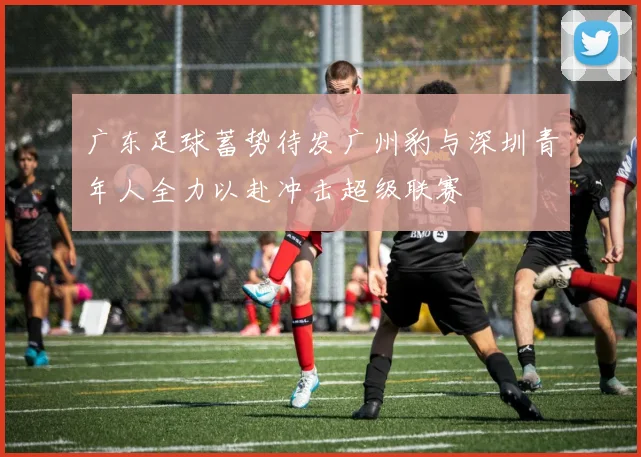 广东足球蓄势待发广州豹与深圳青年人全力以赴冲击超级联赛